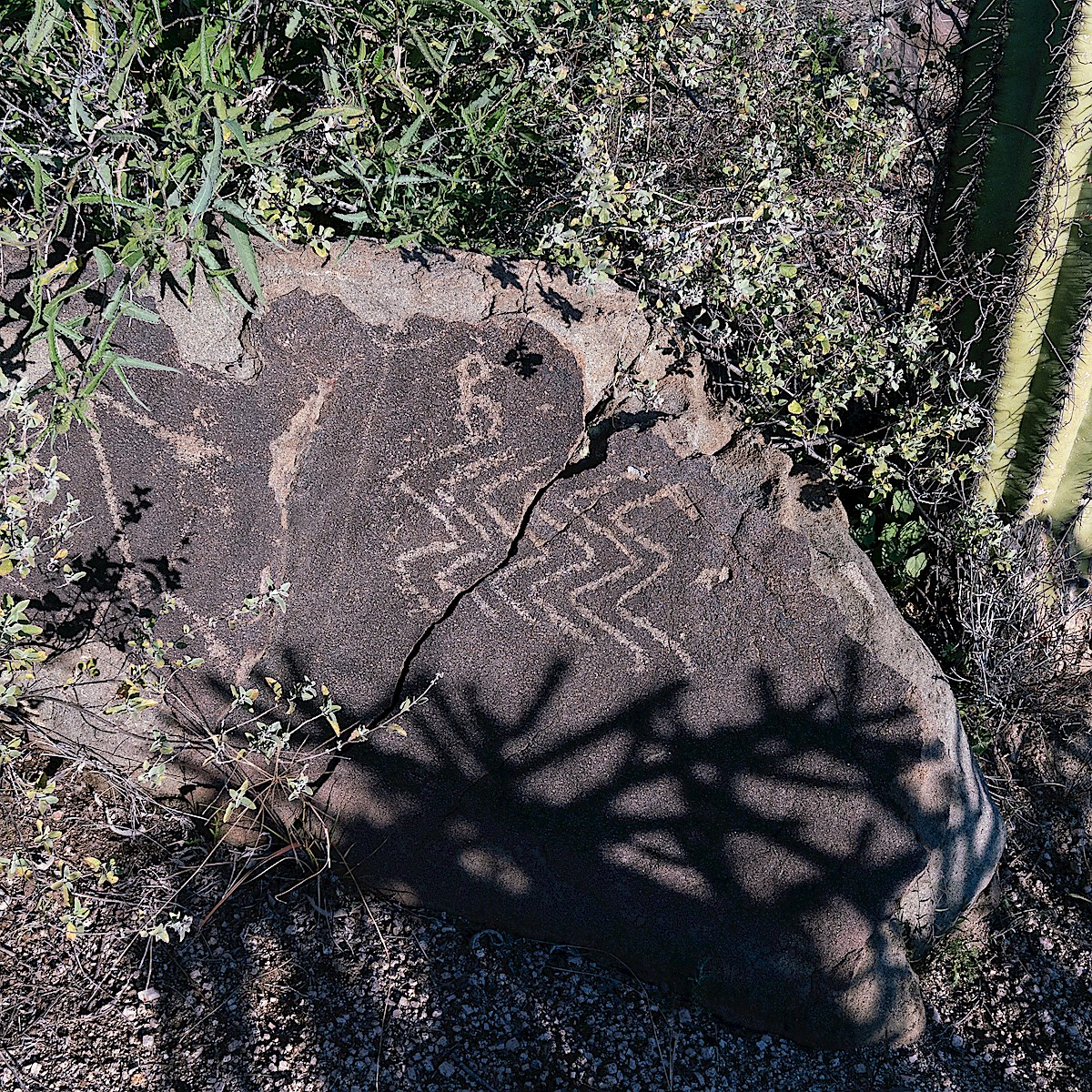 Sutherland Wash Rock Art District Petroglyph. February 2019.